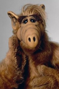 Не ищите здесь смысл. Здесь в основном маразм