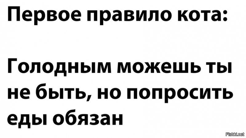 Солянка от 30.09.2021