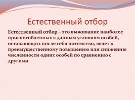 На свадьбе в Румынии жениху сломали позвоночник, когда подбрасывали вверх