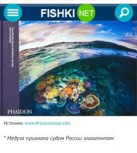 Особенно прекрасна подпись под звёздочкой в конце поста. 
Особенно прекрасна подпись под звёздочкой в конце поста.
