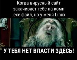 Слишком много переменных: тонкий юмор о программировании
