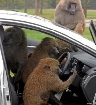 В Махачкале «семерка» врезалась в рекламный щит