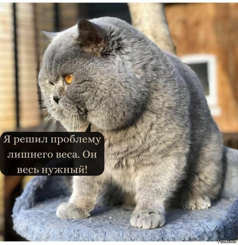 Солянка от 01.10.2021