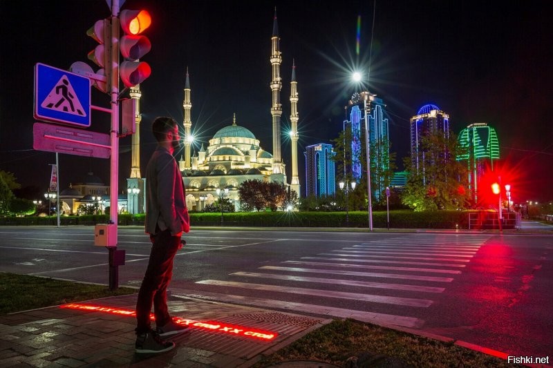 "Пешеходные переходы в Южной Корее оснащены световыми полосами на земле, чтобы люди видели сигнал светофора." 
В Москве такие есть.
Вот Грозный: