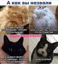 Заходи...Улыбнись - 7