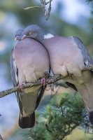 набережная Максима Горького