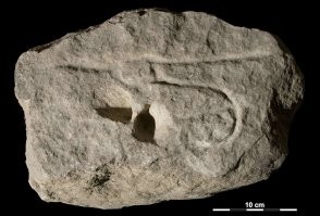 Кстати , о древности. Секс-искусство существовало всегда, глупо с этим спорить. Но что изображено на этом камне мне лично не особо понятно. Надо быть очень озабоченным чтобы увидеть здесь нечто сексуальное. Не особо это смахивает на член, на вагину еще меньше. Лично мне пришло в голову что это чудо древнего снабжения - колодец. Поверхность земли, в ней яма и волнистая линия внизу изображающая подземную реку и, вуаля, не надо идти черте куда от пещеры за водой по опасным джунглям. Впрочем, это может быть картой с ямой для мамонта на пересечении троп чтоб свои не провалились, как у нас план эвакуации при пожаре.