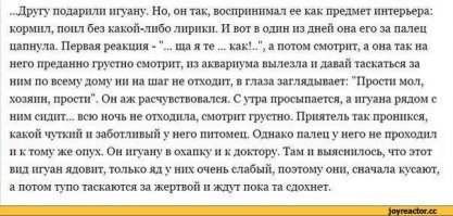 Скрины из соцсетей