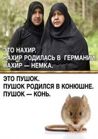 Сборную России по борьбе сняли с самолёта на чемпионат мира