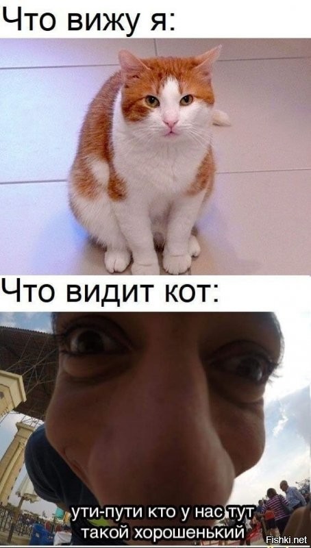 Доброе утро ) Уютных выходных 