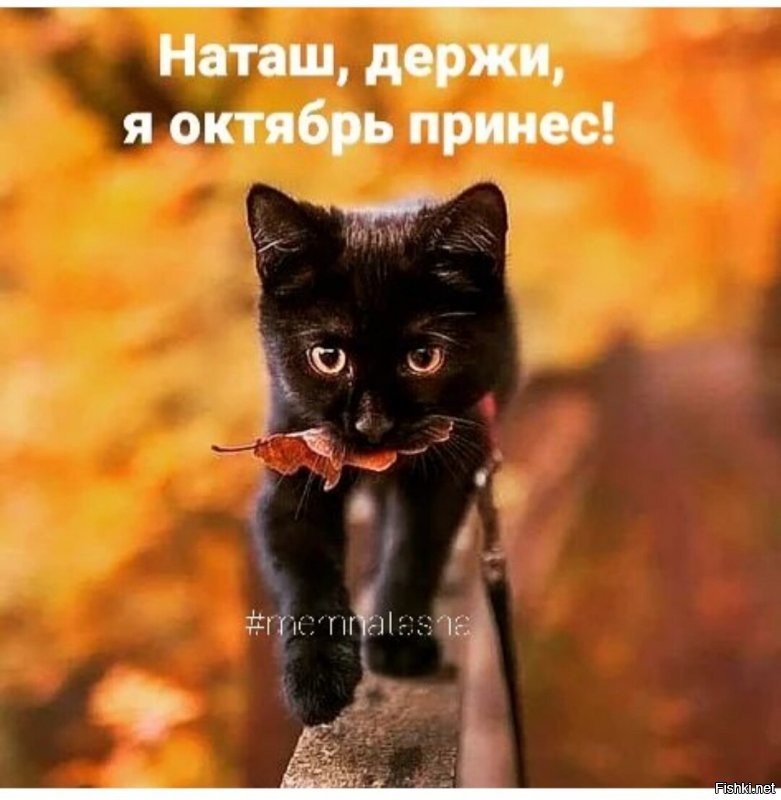 Я думала, в субботу мне одной не спится, а здесь уже вовсю движ