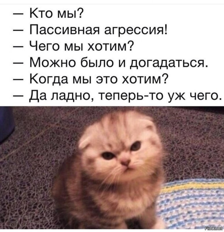 Солянка от 02.10.2021