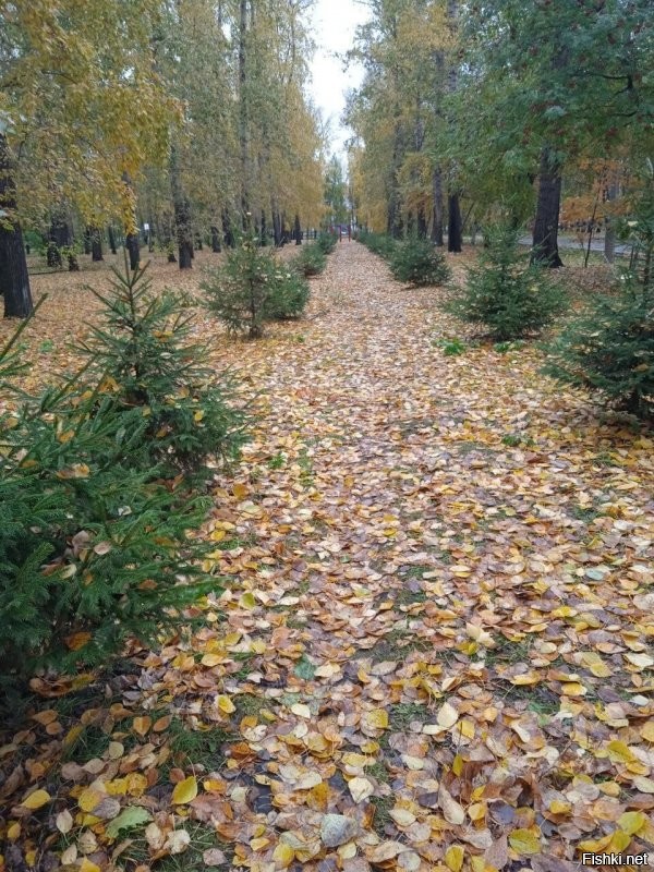 Где ты никогда не был.
Мне подражаешь?
Супер, продолжай.