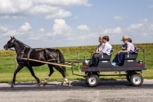 Амиши вообще странные. По сути это группа людей, которая решила, что технический прогресс должен был остановиться в 1750-ом году. Вот, сука, не раньше и не позже. И они, вроде как, не пользуются благами современной цивилизации. Вся бредовость их искусственных ограничений отражается на этом фото, на мой взгляд. 
У вас есть телега с лошадью, но сама телега на современных колесах и подвеске. Я сомневаюсь, что у вас в деревне добывают нефть с помощью ручной помпы, перерабатывают ее в синтетический каучук, пластик и резину, разумеется на дровах и клепают камеры, покрышки и нипели. Но если вы уже пользуетесь плодами нефтедобычи и нефтепереработки - сядьте вы на машину, извращенцы куевы. Не... так норм.