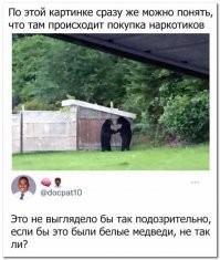 Смешные и познавательные картинки