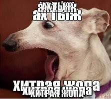 Мне одна знакомая подсказала - они их перешивают.