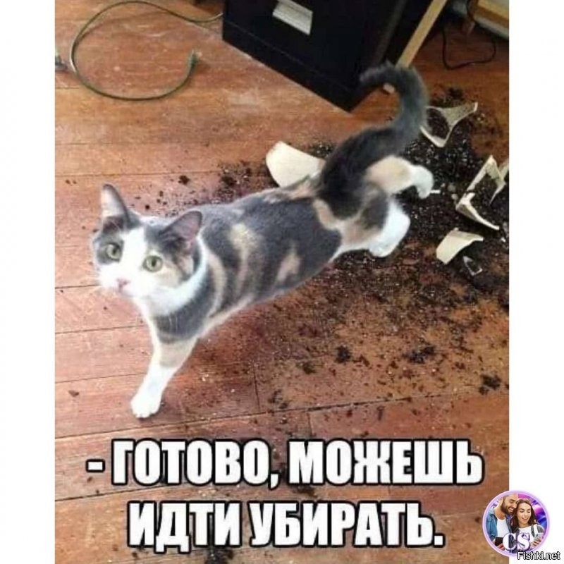 Солянка от 03.10.2021
