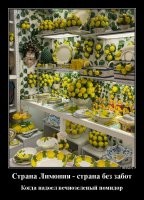 Дорогой, принеси мне миску с лимонами!