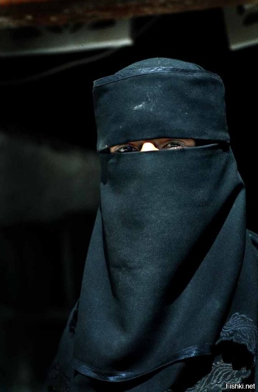 Как оказалось, хиджаб ... прячет лицо,
========
Таки хиджаб морду лица не скрывает. А вот паранджа или никаб таки скрывает.

Автор, не говори те слова, значения которых не знаешь! Скрипач хренов

Хиджаб/никаб/паранджа