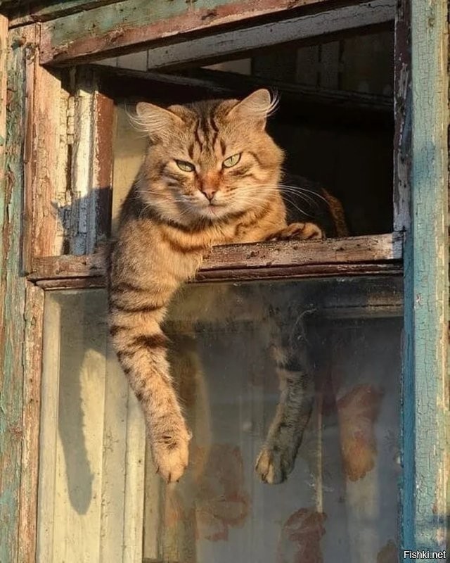Заходите в гости  , будем рады !