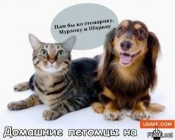 Алкопост на вечер этой пятницы