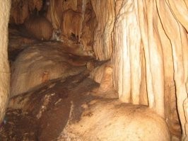 Природа действительно уникальная. Туда находится Врачанский карст, част парка Врачанский Балкан. Здесь находится и одна из глубоких пещер Болгарии - Яворец -197м. Пару фоток из прошлом - ето почти самое дно пещеры, внизу еще ~30m. Лазил туда еще в начале своей спелеологической кариеры(09.11.2009). :)