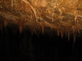 Природа действительно уникальная. Туда находится Врачанский карст, част парка Врачанский Балкан. Здесь находится и одна из глубоких пещер Болгарии - Яворец -197м. Пару фоток из прошлом - ето почти самое дно пещеры, внизу еще ~30m. Лазил туда еще в начале своей спелеологической кариеры(09.11.2009). :)