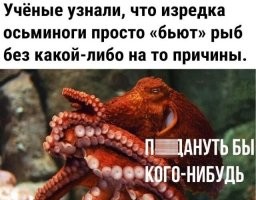 Башка после вчерашнего раскалывается... А эти гадины на весь залив: "Шур-шур-шур... Шур-шур-шур..."!