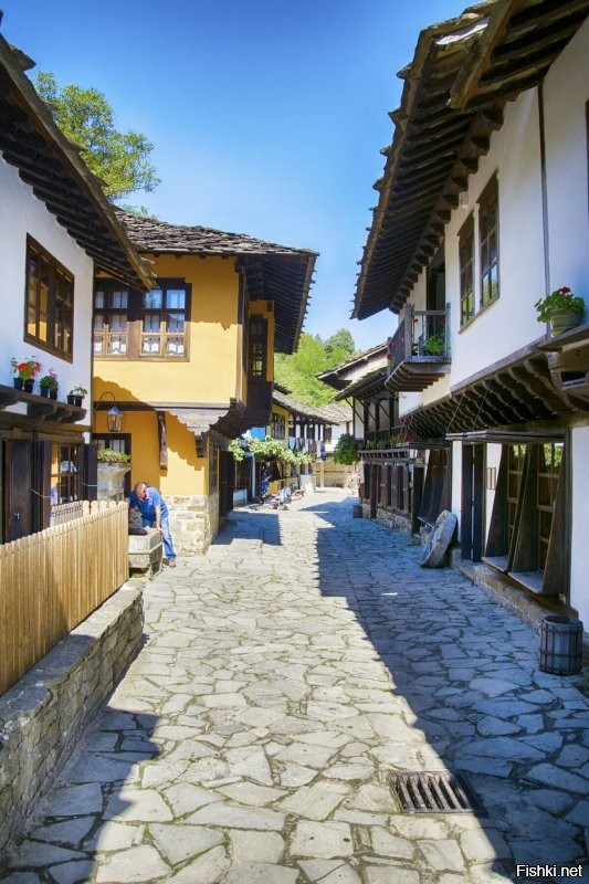 Были в Музей юмора и сатиры - добрый музей, простой и душевный. Но больше всего нам понравилась оса на нём вашего болгарского мастера GEORGE Leontiev BALABANOV, которая взяла главный приз конкурса "GOLDEN AESOP".

И архитектурно-этнографический комплекс "Этыр" (Етър) нам очень понравился - его к посещению очень рекомендуем. В отличие от множества распиаренных пустых новоделов в Болгарии, этот комплекс аутентичен.