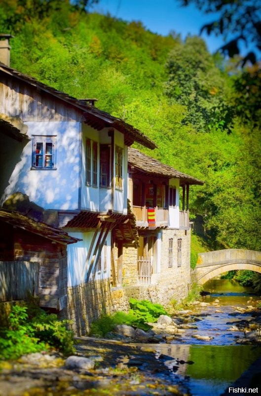 Были в Музей юмора и сатиры - добрый музей, простой и душевный. Но больше всего нам понравилась оса на нём вашего болгарского мастера GEORGE Leontiev BALABANOV, которая взяла главный приз конкурса "GOLDEN AESOP".

И архитектурно-этнографический комплекс "Этыр" (Етър) нам очень понравился - его к посещению очень рекомендуем. В отличие от множества распиаренных пустых новоделов в Болгарии, этот комплекс аутентичен.