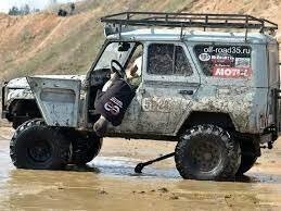 20+ чудесных фото осликов, которые показывают, какие они милые животные