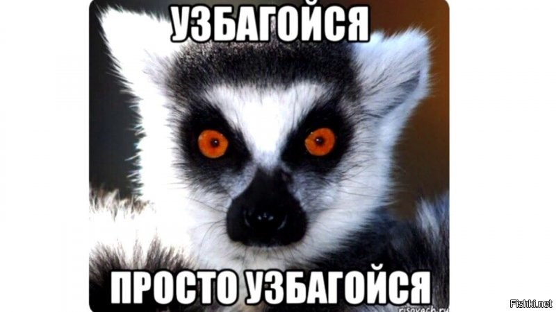 Солянка от 04.10.2021