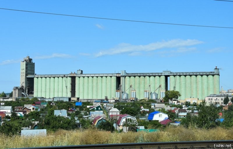 Раскраски наш