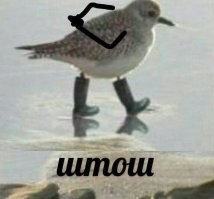 18 гениальных решений на каждый день