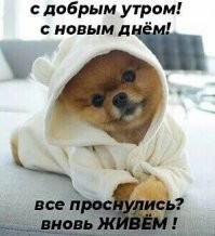 С добрым утром!