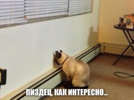 «Убийственно красива»: британец влюбился в девушку из рекламы и нашел ее, чтобы жениться