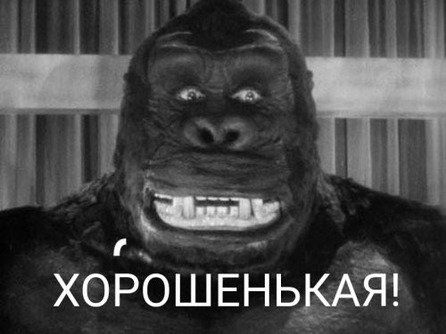 Солянка от 04.10.2021