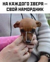 Так себе картинки в чёрно-белых тонах