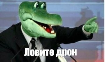 В сеть попала запись с дрона, съеденного крокодилом