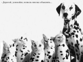 Курица удивила петуха необычными детенышами