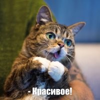 Васька будет доволен!