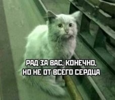 Плюс одна фобия: реакция соцсетей на падение Facebook и Ко