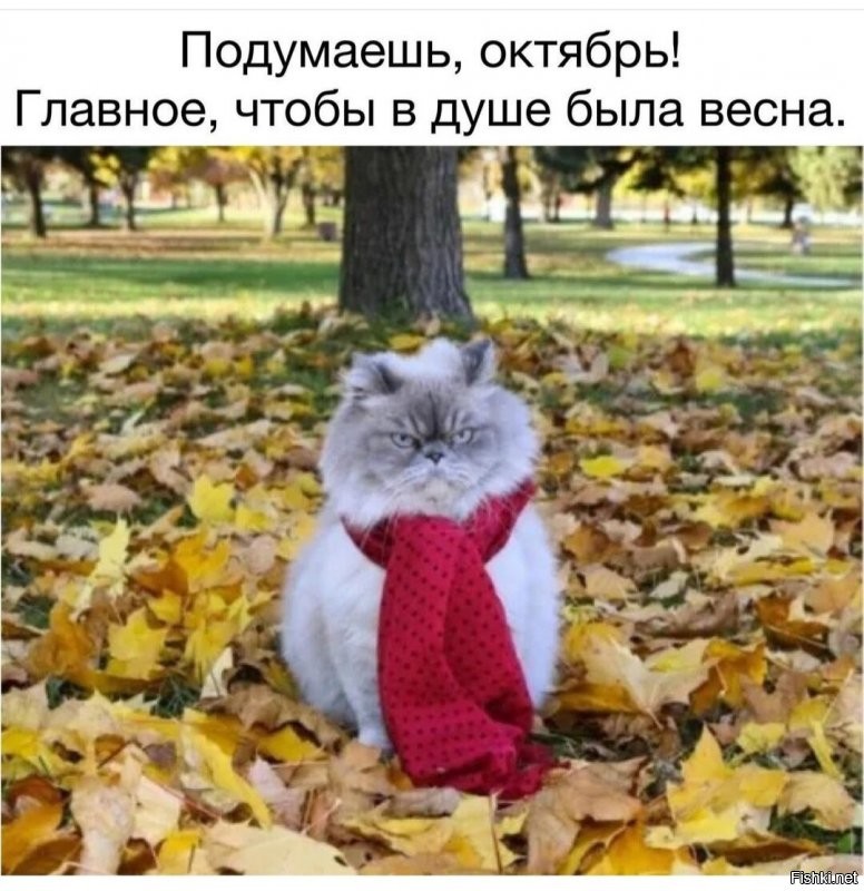 5 октября, Фока Ветроградарь (Иона и Фока, Листопадная)