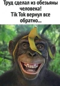 Пранк удался: в Тюмени тиктокеры разыграли ограбление "бабушки" и были избиты прохожими