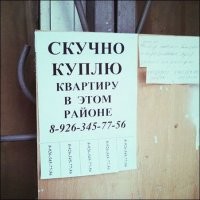 О квартире: