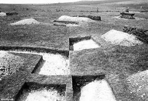 Тем более, что на этом месте до этого вообще никаких камней не было. Вот и пойми, что это такое.