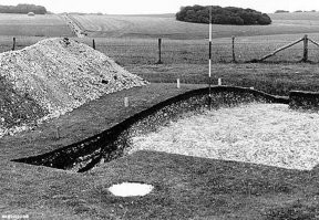 Тем более, что на этом месте до этого вообще никаких камней не было. Вот и пойми, что это такое.