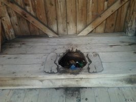 Ты своё место забыл говно? А ну брысь!!!