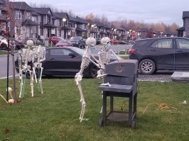 А вот что я увидел в прошлом году на соседней улице