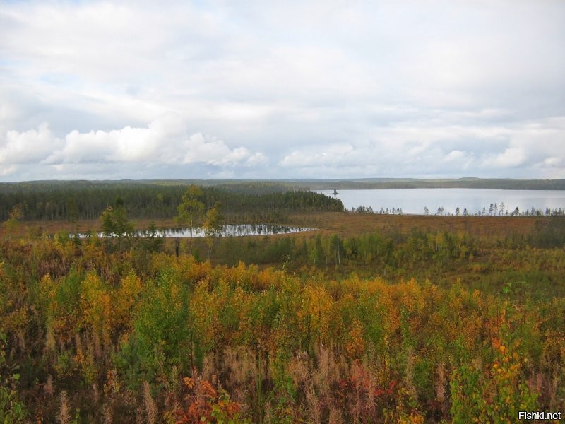 Не Заполярье, но все же)) Карелия, Середина сентября.